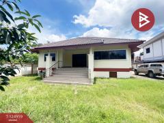 ขายบ้านเดี่ยว เนื้อที่ 1 งาน 30.6 ตร.วา ฟ้าฮ่าม เชียงใหม่-202510241049171761277757190.jpg