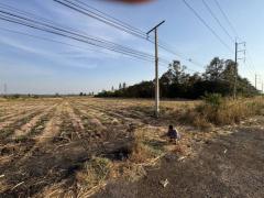 ขายที่ดินติดถนน  ห้วยไร่ ดงเย็น ชัยภูมิ ราคาต่อรองได้-202510241054001761278040354.jpg