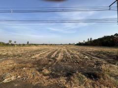 ขายที่ดินติดถนน  ห้วยไร่ ดงเย็น ชัยภูมิ ราคาต่อรองได้-202510241054001761278040844.jpg