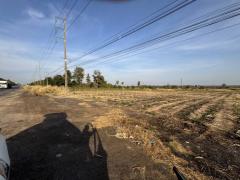 ขายที่ดินติดถนน  ห้วยไร่ ดงเย็น ชัยภูมิ ราคาต่อรองได้-202510241054011761278041317.jpg