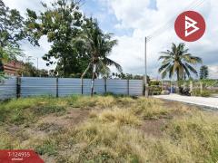 ขายที่ดิน เนื้อที่ 33.4 ตร.วา อัมพวา สมุทรสงคราม-202510241056061761278166187.jpg