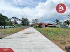 ขายที่ดิน เนื้อที่ 33.4 ตร.วา อัมพวา สมุทรสงคราม-202510241056081761278168807.jpg