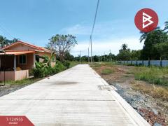 ขายที่ดิน เนื้อที่ 33.4 ตร.วา อัมพวา สมุทรสงคราม-202510241056101761278170893.jpg