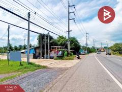 ขายที่ดิน เนื้อที่ 33.4 ตร.วา อัมพวา สมุทรสงคราม-202510241056111761278171933.jpg