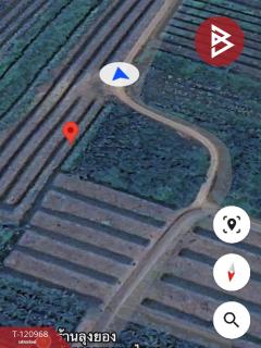 ขายที่ดิน เนื้อที่ 1 งาน 74.5 ตร.วา บางขันแตก สมุทรสงคราม-202510241140371761280837645.jpg