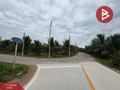 ขายที่ดิน เนื้อที่ 1 งาน 74.5 ตร.วา บางขันแตก สมุทรสงคราม-202510241140381761280838155.jpg