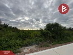 ขายที่ดิน เนื้อที่ 1 งาน 74.5 ตร.วา บางขันแตก สมุทรสงคราม-202510241140391761280839193.jpg