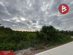 ขายที่ดิน เนื้อที่ 1 งาน 74.5 ตร.วา บางขันแตก สมุทรสงคราม-202510241140391761280839719.jpg