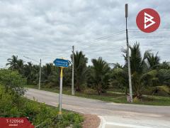 ขายที่ดิน เนื้อที่ 1 งาน 74.5 ตร.วา บางขันแตก สมุทรสงคราม-202510241140411761280841813.jpg