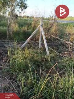 ขายที่ดิน เนื้อที่ 2 ไร่ องครักษ์ นครนายก-202510241240091761284409514.jpg