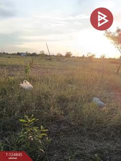 ขายที่ดิน เนื้อที่ 2 ไร่ องครักษ์ นครนายก-202510241240101761284410056.jpg