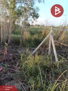 ขายที่ดิน เนื้อที่ 2 ไร่ องครักษ์ นครนายก-202510241240101761284410588.jpg