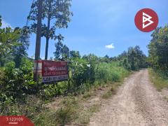 ขายที่ดิน เนื้อที่ 7 ไร่ 3 งาน 98 ตารางวา ต.ป่าสัก ลำพูน-202510241250311761285031630.jpg