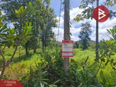 ขายที่ดิน เนื้อที่ 7 ไร่ 3 งาน 98 ตารางวา ต.ป่าสัก ลำพูน-202510241250321761285032158.jpg