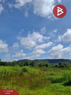 ขายที่ดิน เนื้อที่ 7 ไร่ 3 งาน 98 ตารางวา ต.ป่าสัก ลำพูน-202510241250321761285032698.jpg