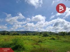 ขายที่ดิน เนื้อที่ 7 ไร่ 3 งาน 98 ตารางวา ต.ป่าสัก ลำพูน-202510241250331761285033205.jpg