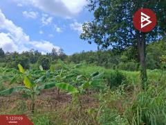 ขายที่ดิน เนื้อที่ 7 ไร่ 3 งาน 98 ตารางวา ต.ป่าสัก ลำพูน-202510241250341761285034257.jpg