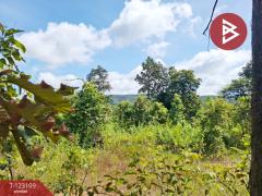 ขายที่ดิน เนื้อที่ 7 ไร่ 3 งาน 98 ตารางวา ต.ป่าสัก ลำพูน-202510241250341761285034782.jpg