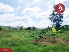 ขายที่ดิน เนื้อที่ 7 ไร่ 3 งาน 98 ตารางวา ต.ป่าสัก ลำพูน-202510241250351761285035310.jpg