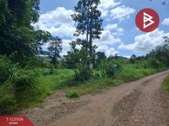 ขายที่ดิน เนื้อที่ 7 ไร่ 3 งาน 98 ตารางวา ต.ป่าสัก ลำพูน-202510241250361761285036364.jpg