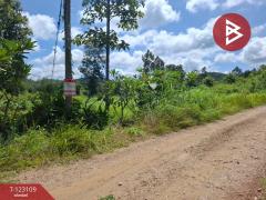 ขายที่ดิน เนื้อที่ 7 ไร่ 3 งาน 98 ตารางวา ต.ป่าสัก ลำพูน-202510241250361761285036900.jpg