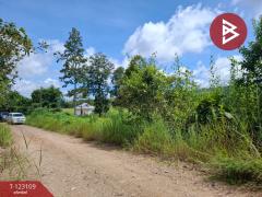 ขายที่ดิน เนื้อที่ 7 ไร่ 3 งาน 98 ตารางวา ต.ป่าสัก ลำพูน-202510241250371761285037430.jpg