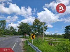 ขายที่ดิน เนื้อที่ 7 ไร่ 3 งาน 98 ตารางวา ต.ป่าสัก ลำพูน-202510241250371761285037964.jpg