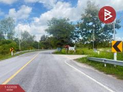 ขายที่ดิน เนื้อที่ 7 ไร่ 3 งาน 98 ตารางวา ต.ป่าสัก ลำพูน-202510241250381761285038498.jpg