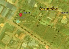 ขายที่ดินเปล่า ซอยวัดเวฬุวนาราม 36 ใกล้สนามบินดอนเมือง -202510241327301761287250458.jpg