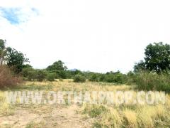 ที่ดินติดถนนใหญ่ ถ.พหลโยธิน ต.นายาว อ.พระพุทธบาท จ.สระบุรี-202510241409331761289773765.jpg