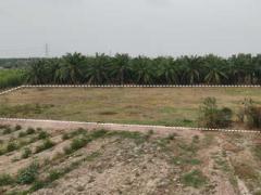 ขายที่ดิน 2-3-28  ไร่ เขตหนองชาก บ้านบึง  ใกล้สนามฟุตบอลเบียร์ช้าง และ วัดสิงห์ทองพรหมาวาส ติดถนน สาธารณะ 2 ด้าน  ไร่ละ  1,600,000  บาท  (ยกแปลง 4.51 ล้านบาท)-202510241452531761292373341.jpg