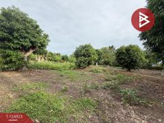 ขายที่ดิน เนื้อที่ 3 งาน 32.5 ตร.วา อัมพวา สมุทรสงคราม