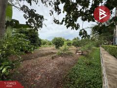 ขายที่ดิน เนื้อที่ 3 งาน 32.5 ตร.วา อัมพวา สมุทรสงคราม-202510241502451761292965934.jpg