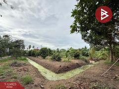 ขายที่ดิน เนื้อที่ 3 งาน 32.5 ตร.วา อัมพวา สมุทรสงคราม-202510241502461761292966458.jpg