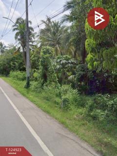 ขายที่ดิน เนื้อที่ 3 งาน 32.5 ตร.วา อัมพวา สมุทรสงคราม-202510241502471761292967503.jpg