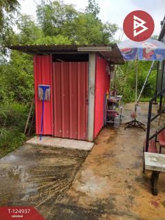 ขายบ้านเดี่ยวพร้อมที่ดิน เนื้อที่ 1 ไร่ ประจันตคาม ปราจีนบุรี-202510241518011761293881468.jpg