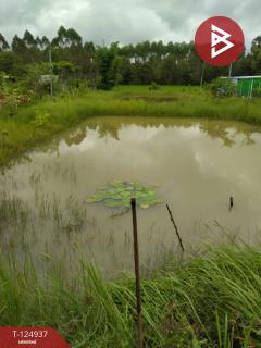 ขายบ้านเดี่ยวพร้อมที่ดิน เนื้อที่ 1 ไร่ ประจันตคาม ปราจีนบุรี-202510241518021761293882519.jpg