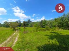 ขายที่ดิน เนื้อที่ 11 ไร่ 1 งาน 83 ตร.วา เซกา บึงกาฬ