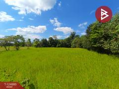 ขายที่ดิน เนื้อที่ 11 ไร่ 1 งาน 83 ตร.วา เซกา บึงกาฬ-202510241605131761296713220.jpg