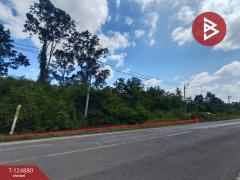 ขายที่ดิน เนื้อที่ 11 ไร่ 1 งาน 83 ตร.วา เซกา บึงกาฬ-202510241605171761296717386.jpg