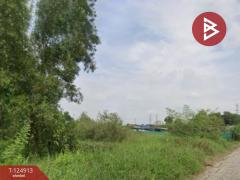 ขายที่ดิน ซอยไมตรีจิต 7 แยก 7 คลองสามวา กรุงเทพมหานคร-202510241612271761297147358.jpg