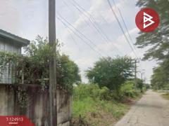 ขายที่ดิน ซอยไมตรีจิต 7 แยก 7 คลองสามวา กรุงเทพมหานคร-202510241612291761297149440.jpg