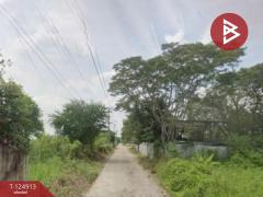 ขายที่ดิน ซอยไมตรีจิต 7 แยก 7 คลองสามวา กรุงเทพมหานคร-202510241612291761297149971.jpg