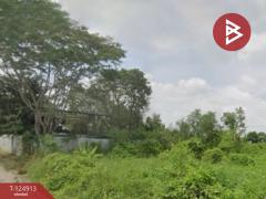 ขายที่ดิน ซอยไมตรีจิต 7 แยก 7 คลองสามวา กรุงเทพมหานคร-202510241612301761297150489.jpg