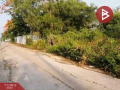 ขายที่ดิน ซอยไมตรีจิต 7 แยก 7 คลองสามวา กรุงเทพมหานคร-202510241612311761297151008.jpg