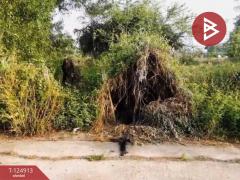 ขายที่ดิน ซอยไมตรีจิต 7 แยก 7 คลองสามวา กรุงเทพมหานคร-202510241612311761297151529.jpg