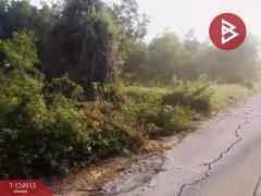 ขายที่ดิน ซอยไมตรีจิต 7 แยก 7 คลองสามวา กรุงเทพมหานคร-202510241612321761297152056.jpg