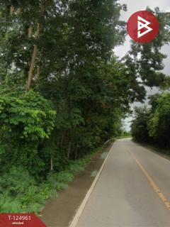 ขายที่ดิน เนื้อที่ 3 ไร่ 3 งาน 4 ตร.วา นายายอาม จันทบุรี