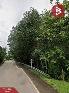 ขายที่ดิน เนื้อที่ 3 ไร่ 3 งาน 4 ตร.วา นายายอาม จันทบุรี-202510241619281761297568384.jpg