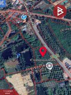 ขายที่ดิน เนื้อที่ 3 ไร่ 3 งาน 4 ตร.วา นายายอาม จันทบุรี-202510241619291761297569438.jpg